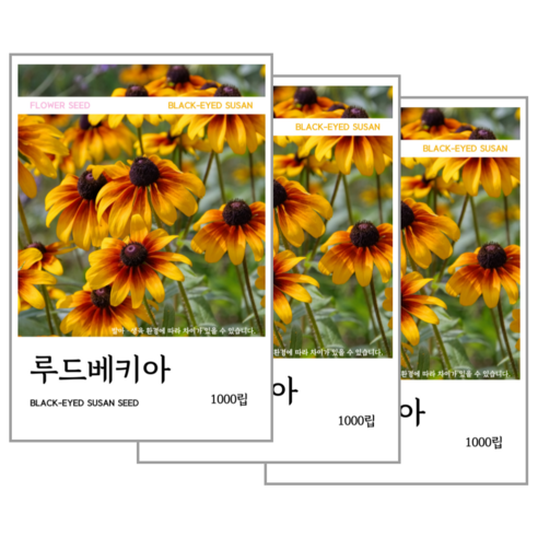 루드베키아 씨앗 1000립, 3개