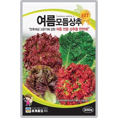 산들마켓 여름모둠 상추씨앗 3000립 여름재배 적합한 4종 모둠 상추씨 종자, 1개