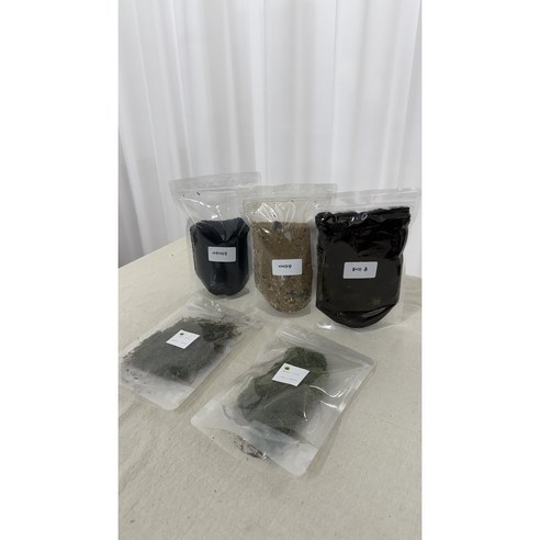 이끼 테라리움 DIY 키트로 시작하는 나만의 작은 정원, 싱그러움을 집 안으로!