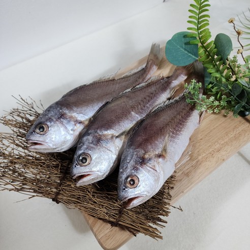 귀찮음은 덜고 맛은 살리는 반건조 조기