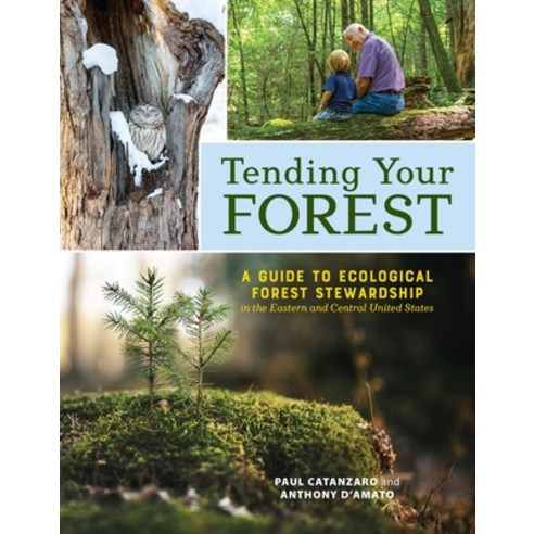 (영문도서)Tending Your Forest: A Guide to Ecological Forest Stewardship in the Eastern and... Paperback, Storey Publishing, English, 9781635868586