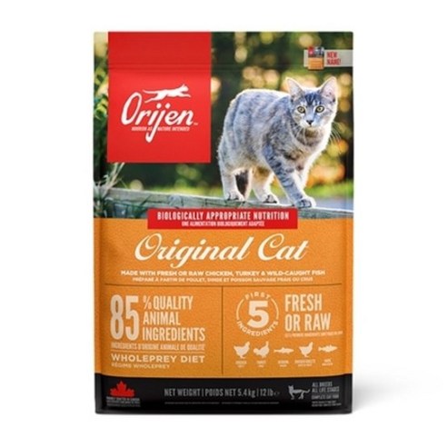 오리젠 전연령 캣 앤 키튼 건식사료 솔직 후기 | 실제 사용자 리뷰 총정리 썸네일