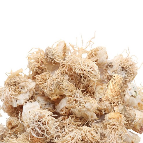 동의한재 국산 파뿌리 대파뿌리 총백 500g, 1개 이미지 2