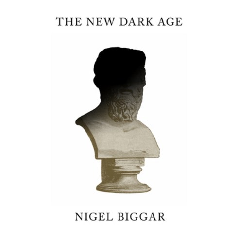 (영문도서)The New Dark Age: Why Liberals Must Win the Culture Wars Hardcover, Polity Press, English, 9781509568321
