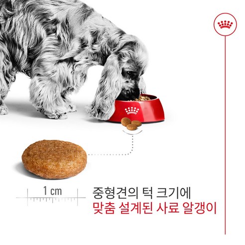 로얄캐닌 어덜트 강아지 미디엄 건식사료 이미지 3