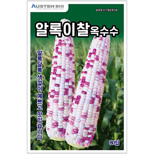 [주주씨앗] 알록이찰옥수수 씨앗 80립 얼룩찰옥수수 씨앗 다수확 통큰 옥수수, 1개