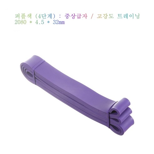 전신 홈트레이닝 저항밴드 운동밴드 탄력밴드 1-5단계, 1개, 퍼플색-4단계
