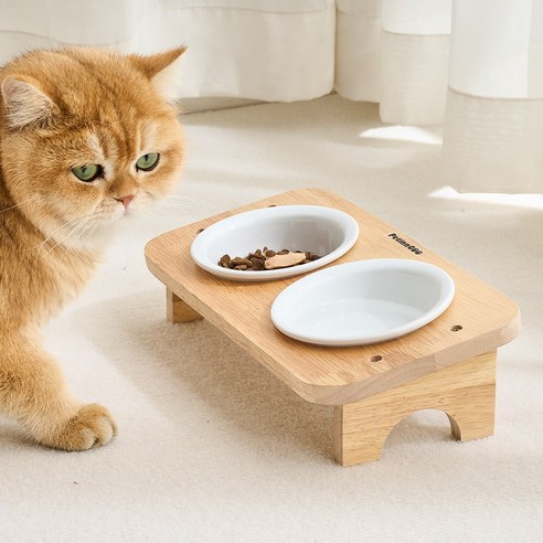 펫인꼬 반려동물 밥그릇 도자기세트 강아지 고양이 식기 물그릇 솔직 후기 | 실사용자 리뷰 분석 - 상품 이미지 3