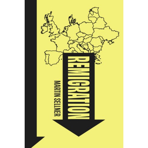 (영문도서)Remigration Paperback, Book Passage Press, English, 9781945649776