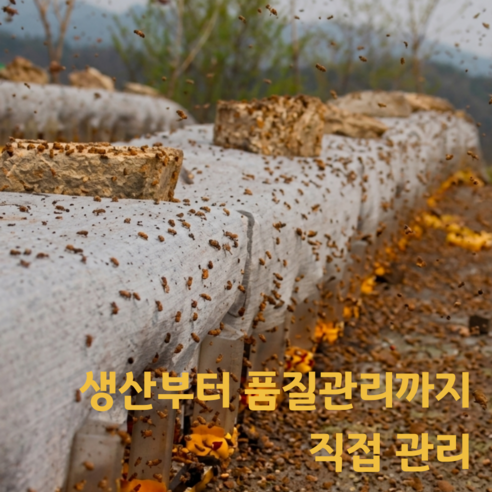 [청순담] 지리산 벌꿀 국내산100% 야생화꿀 사양꿀 2.4kg, 1개 이미지 3