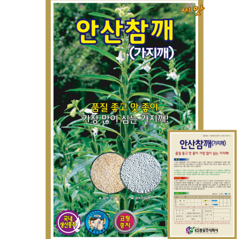 안산참깨 씨앗(3천립) 가지깨 가장많이 심는 가지깨 영웅씨앗, 1개