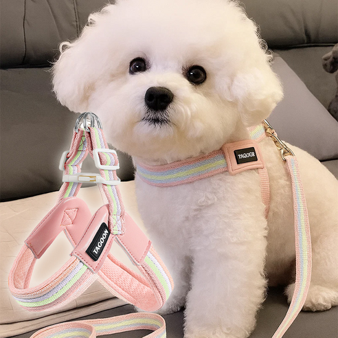 소형견 강아지 하네스 리드줄 세트 1.4m 납작줄 파스텔 무지개 V자 견갑골보호 산책, 1개, 핑크