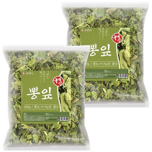 건강중심 국산 뽕잎 뽕나무잎 400g, 2개 맛있게 먹은 솔직 후기 - 상품 이미지 1