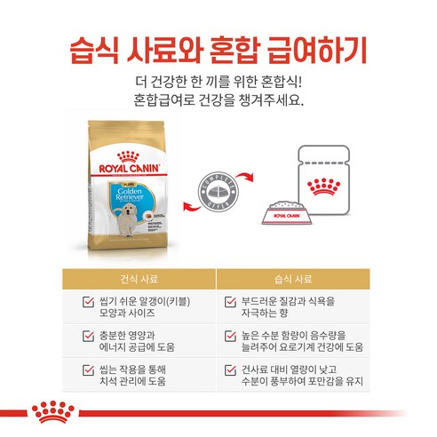로얄캐닌 견종별 강아지 건식 사료 골든리트리버 퍼피 12kg 관절건강 강아지사료 이미지 4