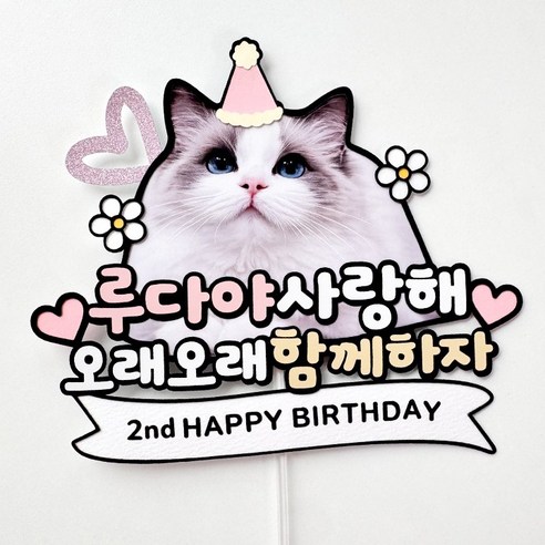 반려동물 강아지 생일토퍼 고양이 생일상 사진 애견 케이크토퍼 생일파티소품 - 파티픽