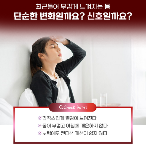 루비슬린 석류 정 갱년기 여성 에스트로겐 중년 영양제 건강 90정, 2개 이미지 3