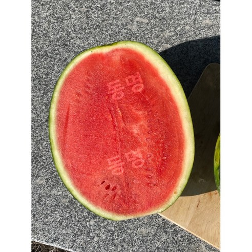 씨 걱정 없이 즐기는 입안 가득 달콤함