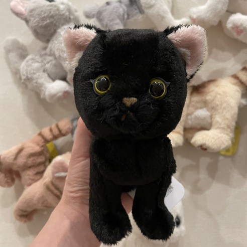 선레몬 키튼 아기 고양이 인형 검은 고양이 블랙 BK, 1개, 블랙(BK), 16cm