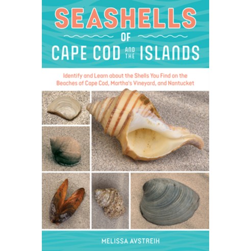 (영문도서)Seashells of Cape Cod & the Islands: Identify and Learn about the Shells You Fin... Paperback, Schiffer Publishing, English, 9780764371134