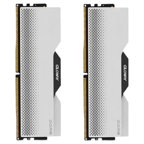 글로웨이 DDR5 데스크탑 히트싱크 램 실버 C28 24GB GW6000N24G-SM 2개입, 1개