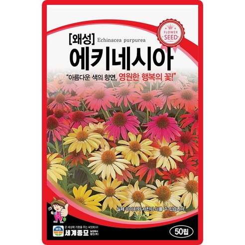 산들마켓 왜성에키네시아 꽃씨앗 50립 아름다운 색의 향연 일년생 꽃씨 종자, 1개