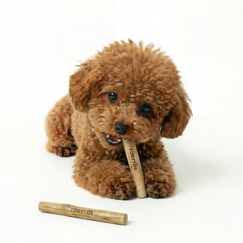 토리토스 커피우드스틱 XXS 소형견용 퍼피용 얇은 1cm 두께 이갈이 장... 솔직 후기 | 실사용자 리뷰 분석 - 상품 이미지 1