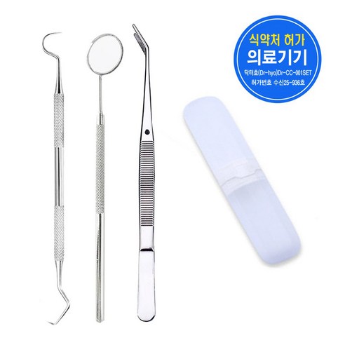 휴대용 셀프 치석제거기 3종+케이스, 1세트, DR SET001