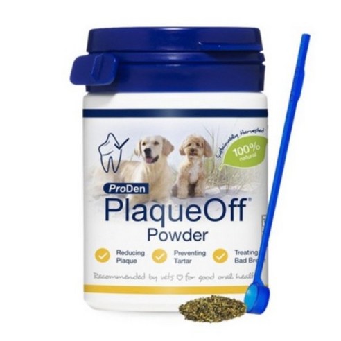 프로덴 플라그오프 강아지 치석제거 파우더 구강관리 솔직 후기 | 실제 사용자 리뷰 총정리 썸네일