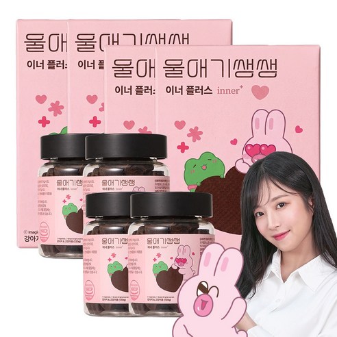 디어랩스 강아지 울애기쌩쌩 이너플러스 기관지 심장 신장 간 영양제, 60정, 종합영양제, 4개