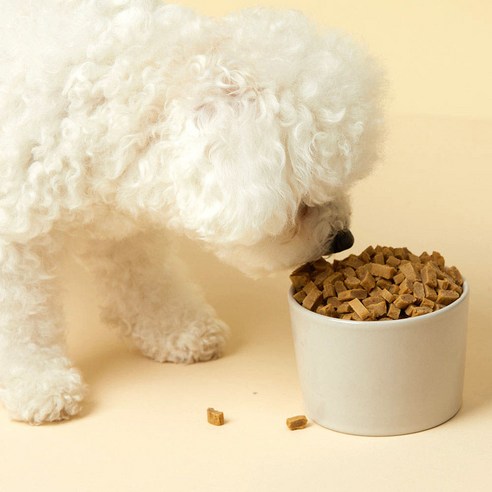 한끼뚝딱 전연령 강아지 황태담은 소프트사료 솔직 후기 | 실제 사용자 리뷰 총정리 - 상품 이미지 4