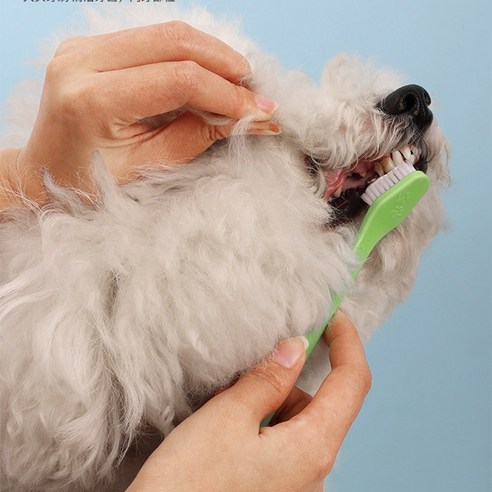 반려동물 컬러스틱 양면 2타입 칫솔 강아지 소형견 중 대 반려견 HM-1002376, 레드