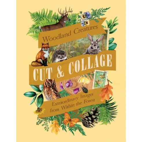 (영문도서)Cut & Collage Woodland Creatures: Extraordinary Images from Within the Forest Paperback, Earth Aware Editions, English, 9798887621647 Earth Aware Editions, English, 9798887621647