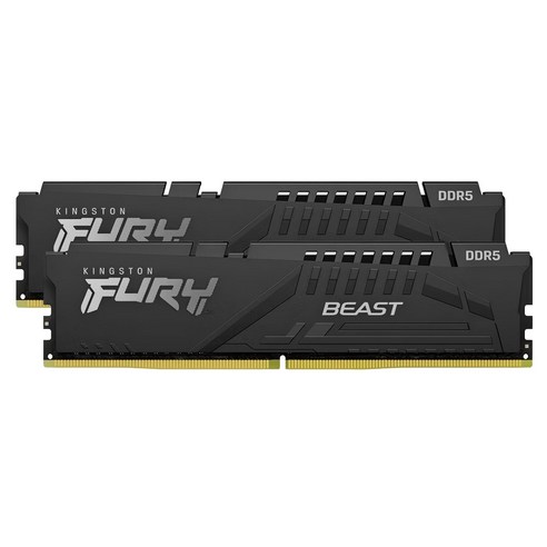 킹스톤 퓨리 비스트 DDR5 데스크톱 메모리 6800MHz 16GB C34 2개입, 1개, KF568C34BBK2/16