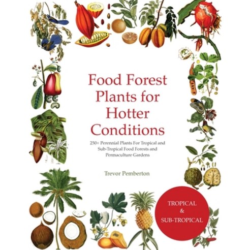 (영문도서)Food Forest Plants for Hotter Conditions: 250+ Perennial Plants For Tropical and... Paperback, Plants for a Future, English, 9781068292224