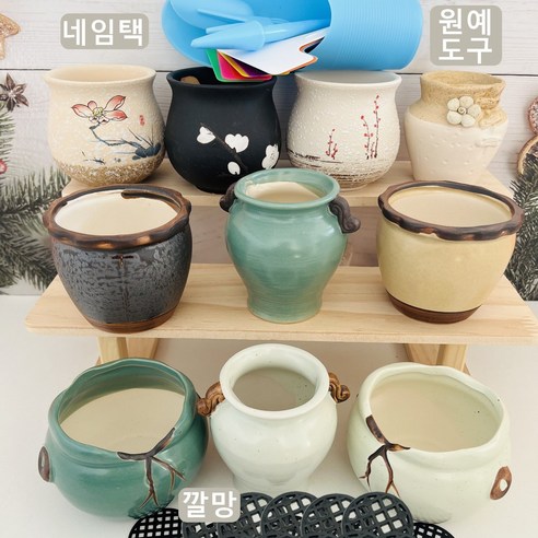 작은 행복을 심는 당신의 공간, 미니 다육이 화분 세트