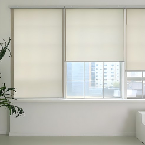 창안애 스탠다드 롤스크린: 심플함 속에 숨겨진 완벽함