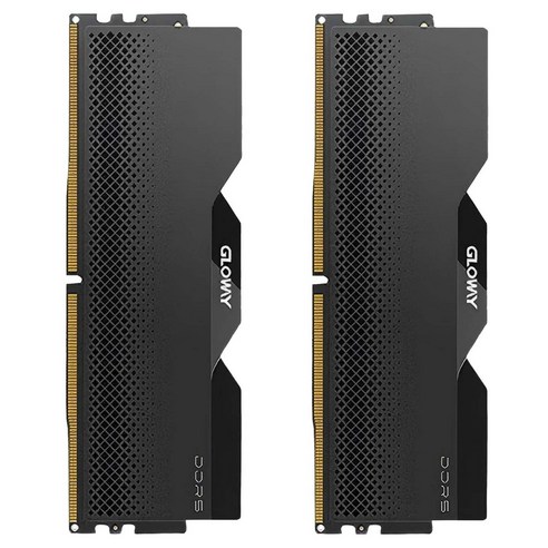 글로웨이 DDR5 용무 시리즈 마이크론 칩 히트싱크 메모리 블랙 6000MHz C38 16GB 2개입, 1세트, GW6000N16G-BMG