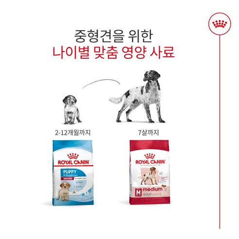 로얄캐닌 어덜트 강아지 미디엄 건식사료 이미지 4