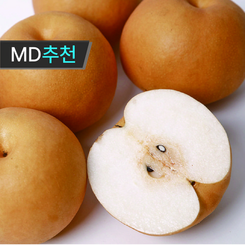 여름 더위에 지친 당신에게 시원한 행복을 선사할 방법 원황배