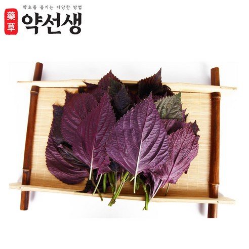 약초약선생 국산 자소엽 차조기잎 차즈기 농장직송 생자소엽 300g, 1개 맛있게 먹은 솔직 후기 - 상품 이미지 3