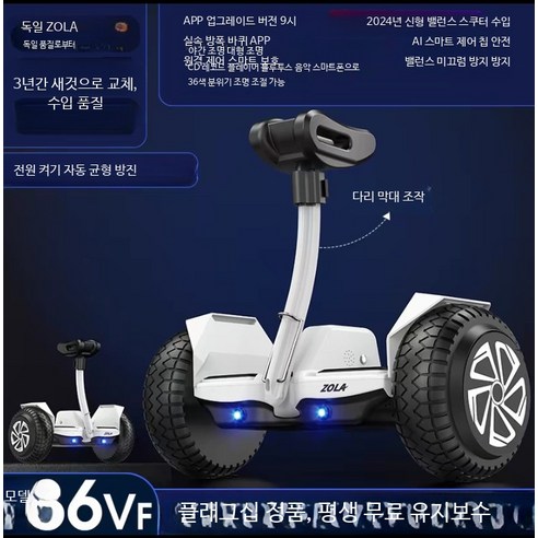ZOLM 전동휠 호버보드 대리기사 휴대용 경량 왕발통 출퇴근 두발 이륜 LED조명 - 전동킥보드 | 쿠팡