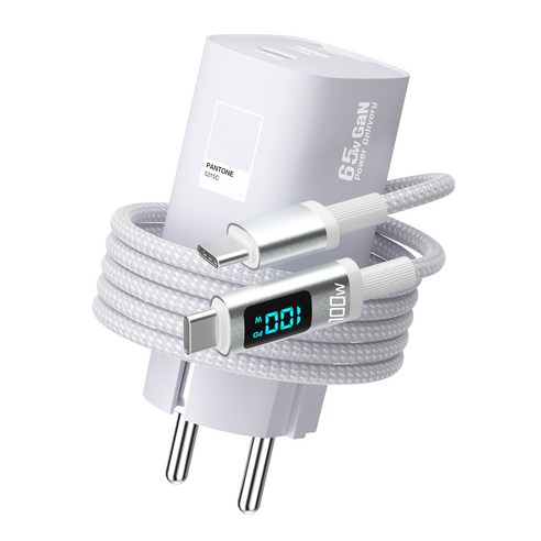 팬톤 접지형 GaN PPS 65W 3포트 디스플레이 초고속 멀티충전기 P... 개봉기 | 실사용 후기 썸네일