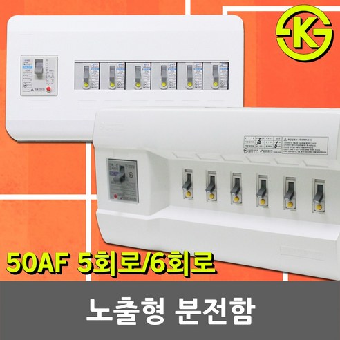 노출형 분전반 분전함 5회로 6회로 차단기함 배전함 배전반 완전조립형 누전차단기 배선차단기 5분기 6분기 30AF 50AF ...