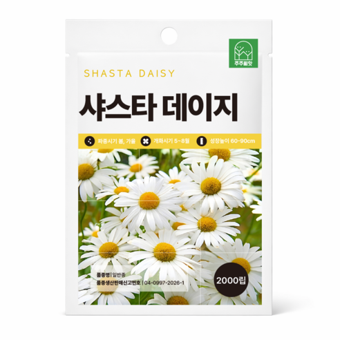 [주주씨앗] 샤스타데이지 씨앗 2000립 / 노지월동 다년생 야생화 꽃씨 씨앗몰, 1개