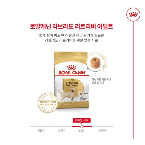 로얄캐닌 독 라브라도 리트리버 어덜트 전용 사료 12kg 강아지 대용량 사료 이미지 2
