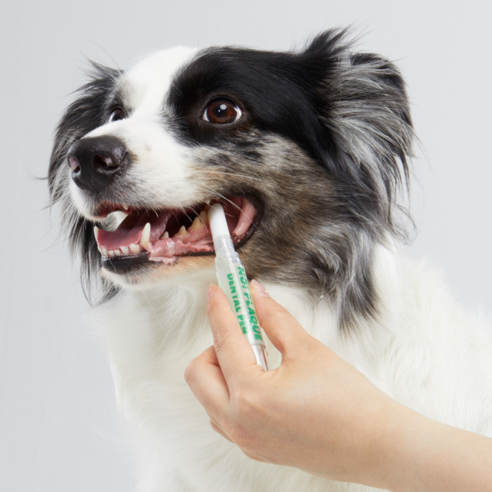 (사선형)몽세펫 프리미엄 양치펜 칫솔 치석/입냄새제거 치약/강아지 고양이... 솔직 후기 | 실제 사용자 리뷰 총정리 - 상품 이미지 4