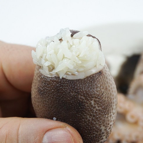 집에서도 맛보는 바다의 신선함, 알찬 알배기 쭈꾸미