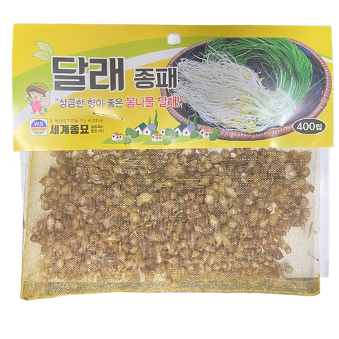 세계종묘 달래종패 씨앗 400립, 1개