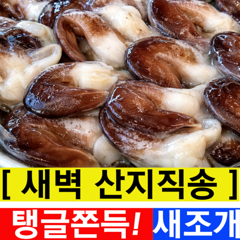 [특품최상위A급] 새벽에잡은 자연산 손질 새조개 - 조개 | 쿠팡