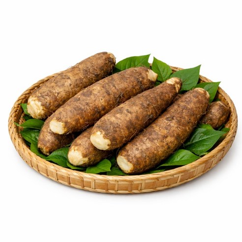 [재구매율1위] 안동 참마 산마 프리미엄 햇 생 마 정품 디아머스, 1.5kg (중품), 1박스 - 마 | 쿠팡